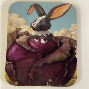 American Pennyroyal Coasters Rabbit